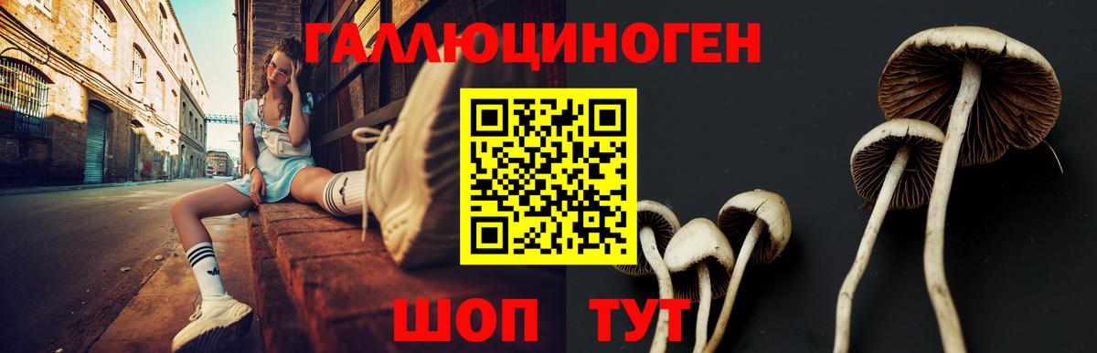 Псилоцибиновые грибы ЛСД Кандалакша