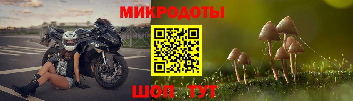 Кандалакша  Галлюциногенные грибы Psilocybine cubensis  Вход с VPN 
